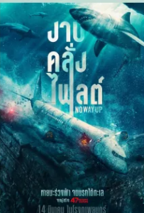 ดูหนังออนไลน์ งาบคลั่งไฟลต์ (2024) No Way Up