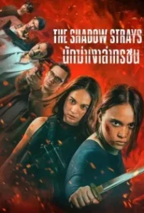 ดูหนังออนไลน์ นักฆ่าเงาล่าทรชน The Shadow Strays (2024)