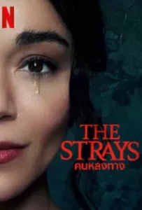 ดูหนังออนไลน์ คนหลงทาง The Strays (2023)