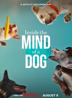 ดูหนังออนไลน์ อ่านใจสุนัข (2024) Inside the Mind of a Dog