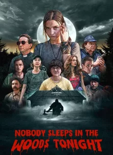 ดูหนังออนไลน์ คืนผวาป่าไร้เงา Nobody Sleeps in the Woods Tonight (2020)