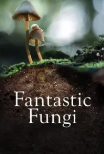 ดูหนังออนไลน์ เห็ดมหัศจรรย์ Fantastic Fungi (2019)