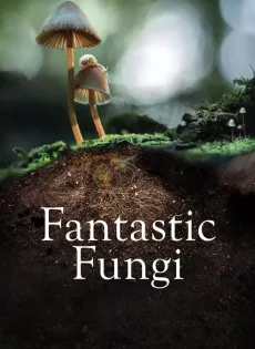 ดูหนังออนไลน์ เห็ดมหัศจรรย์ Fantastic Fungi (2019)