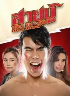 ดูหนังออนไลน์ สายบู๊ ฟัด จัด หนัก Fist of Stardom (2019)