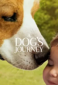 ดูหนังออนไลน์ หมา เป้าหมาย และเด็กชายของผม 2 A Dogs Journey (2019)