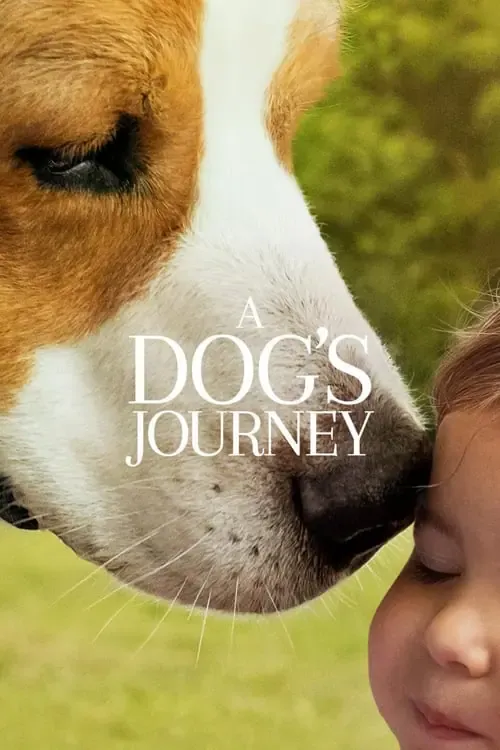 ดูหนังออนไลน์ หมา เป้าหมาย และเด็กชายของผม 2 A Dogs Journey (2019)