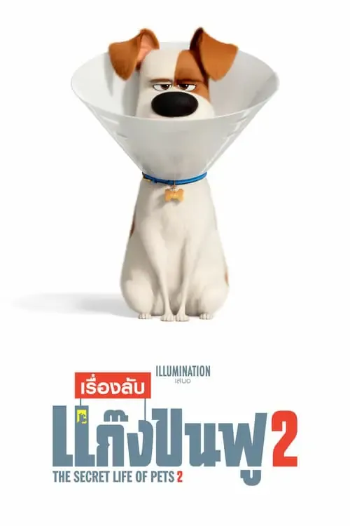 ดูหนังออนไลน์ เรื่องลับแก๊งขนฟู 2 Secret Life of Pets 2 (2019)