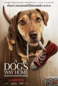 ดูหนังออนไลน์ เพื่อนรักผจญภัยสี่ร้อยไมล์ A Dog’s Way Home (2019)