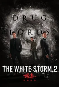 ดูหนังออนไลน์ โคตรคนโค่นคนอันตราย 2 The White Storm 2 Drug Lords (2019)