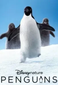 ดูหนังออนไลน์ เพนกวิน Penguins (2019)